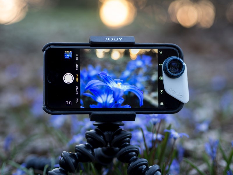 a smartphone taking a picture of blue flowers, _mobile photography 4k