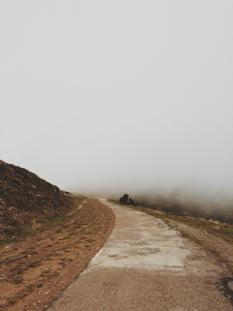 open dirt hiking trail surrounded by fog, a foggy hike 4k