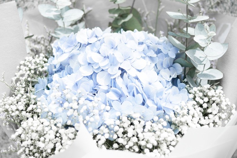 flower bouquet hydrangea and babys breath 4k