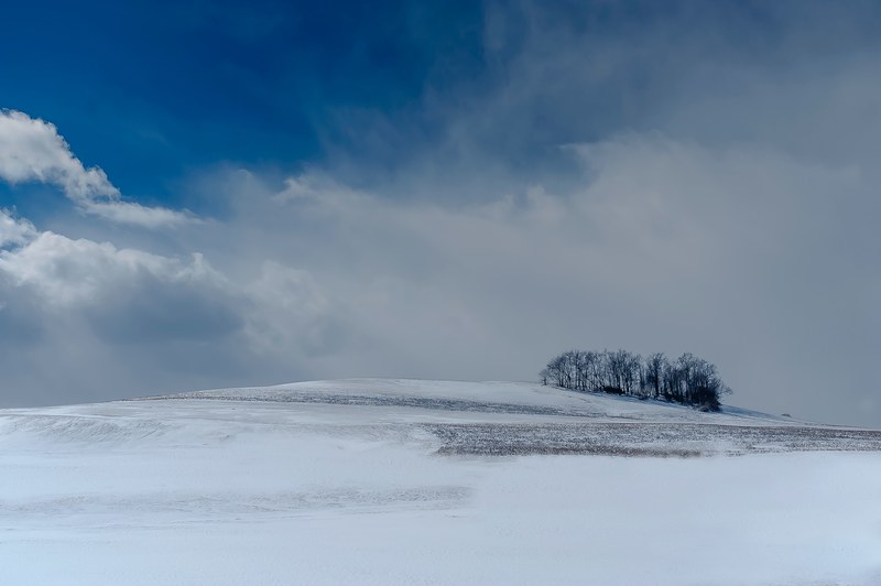 fluffy clouds swept across sky hovering over open snowy land and group of trees, cloudy winter day 4k