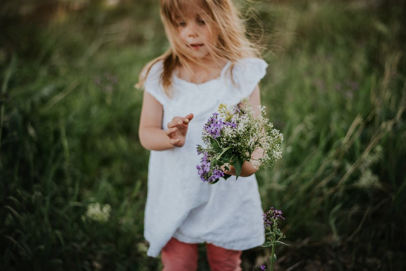picking wildflowers 4k