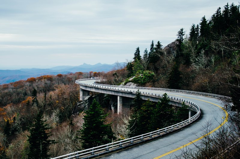 road tree forest and bridge 4k
