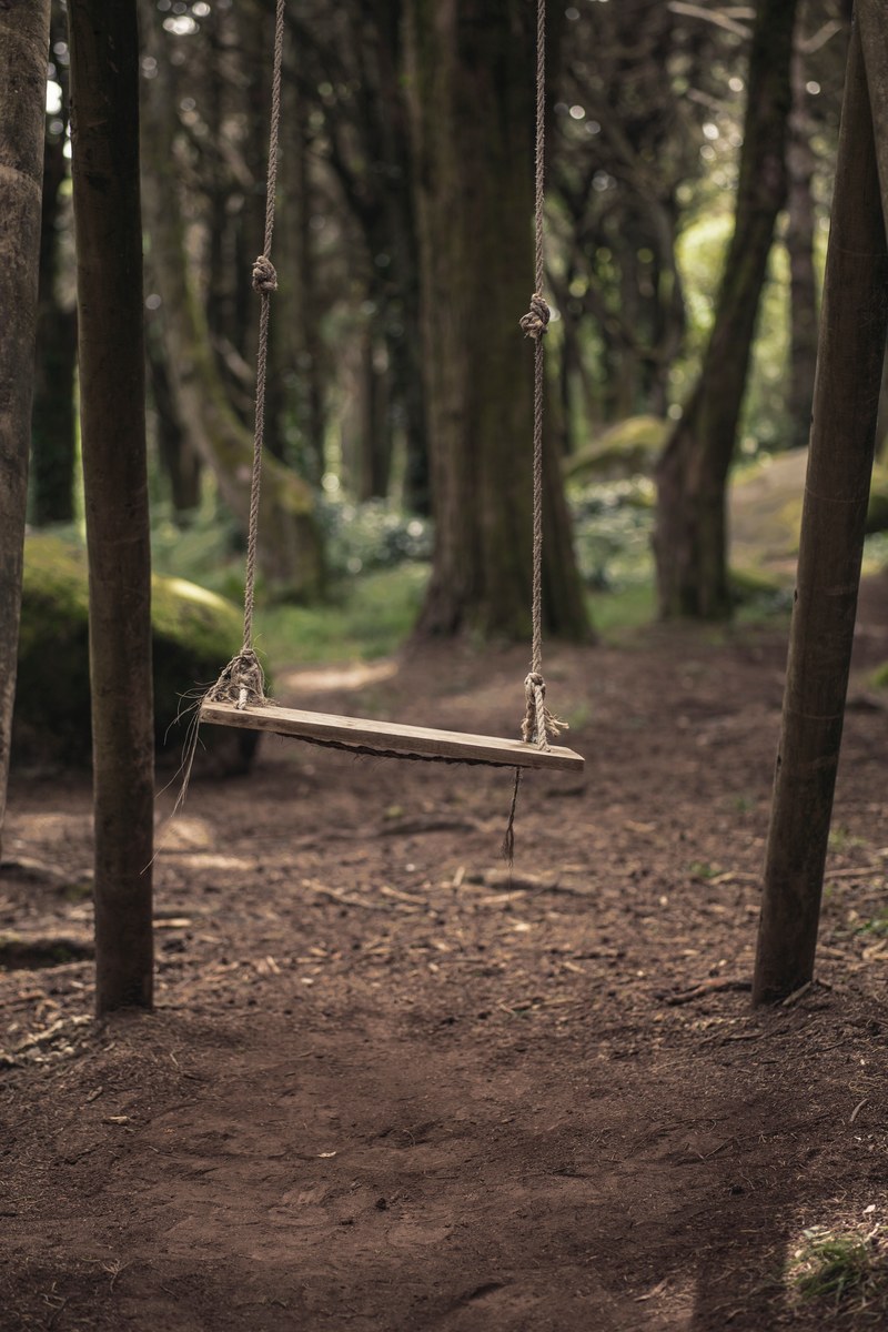 swing wood forest and nature hd, 4k