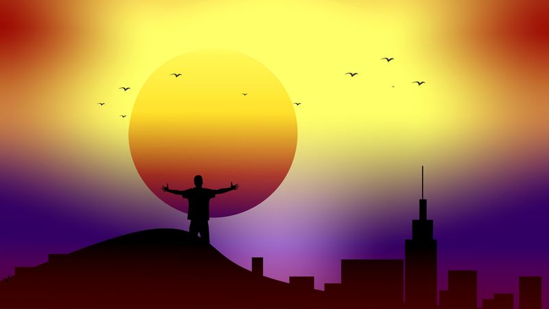 man, freedom, art, sun, birds, 4k