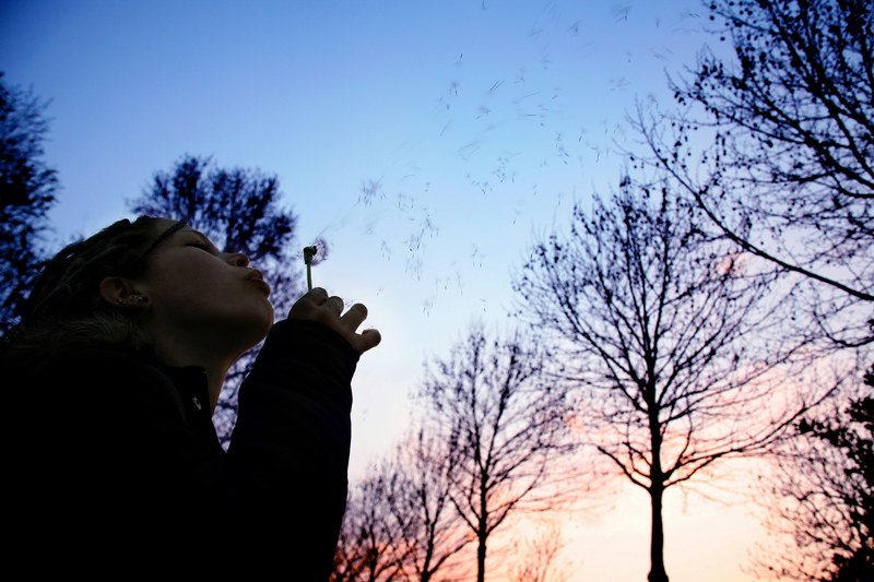 a woman blowing the seeds off a dandelion with trees in the background, woman blowing dandelion seeds 4k