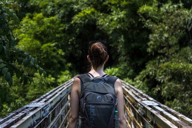 hiker in a backpack walks along a narrow bridge in the jungle, hiker on a steel bridge 4k