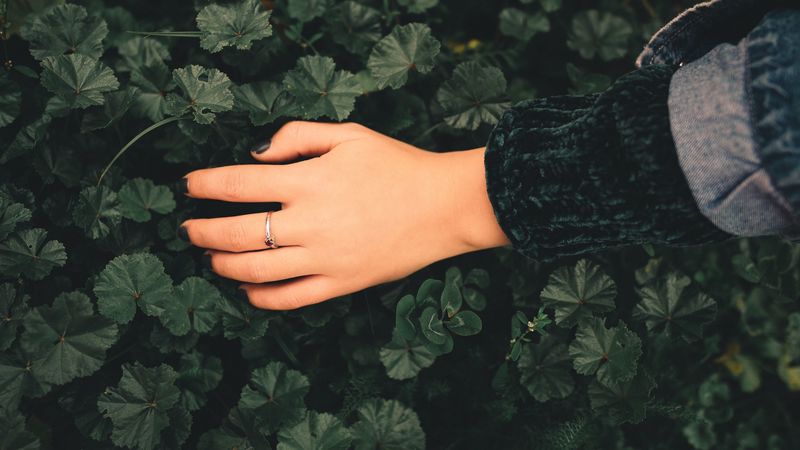 hand, ring, leaves, 4k