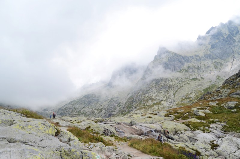 rocky hiking paths by mossy hillsides and foggy mountains, hikers in the high tatras 4k