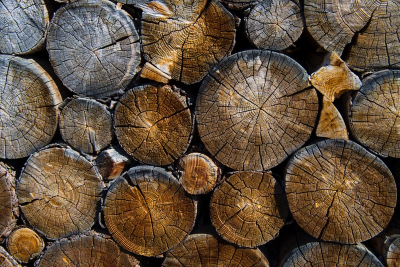 a stack of sawn logs, round sawn logs 4k