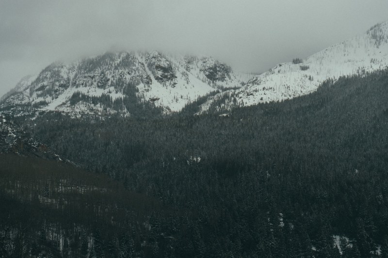 trees on a hill in aspen and a snowcapped mountain with the peak covered in fog, moody mountains in aspen 4k
