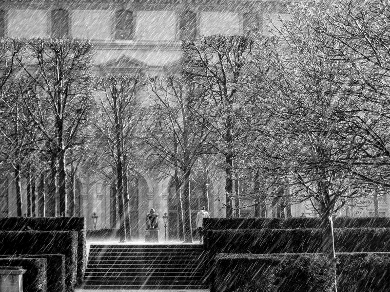 a black and white shot of rain coming down amongst trees outside a library in paris, raining in paris 4k