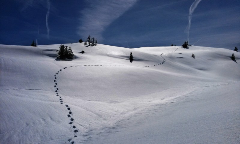 footprints in the thick layer of snow covering a hill, up the hill on a winters day 4k