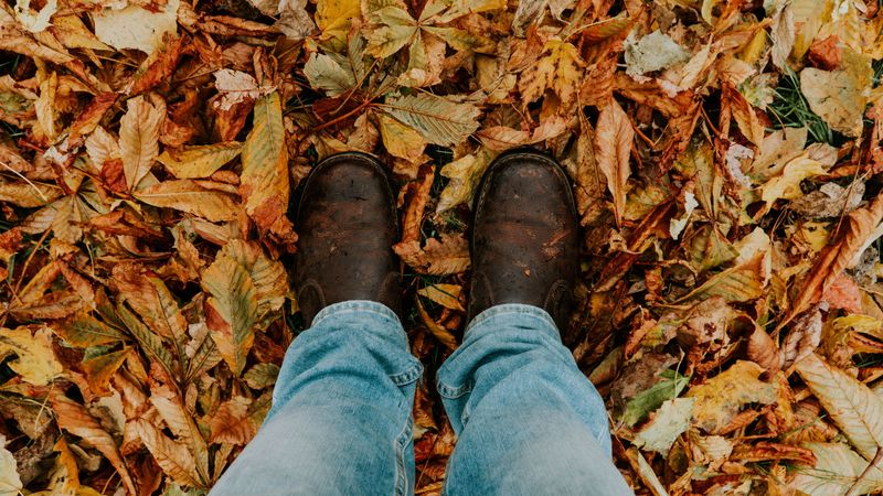 foliage, feet, autumn, fallen, 4k