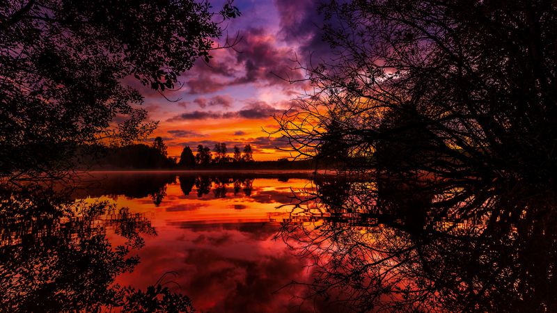 sunset, autumn, river, trees, 4k