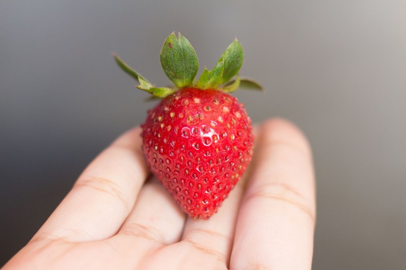 hand holding a small fresh strawberry, fresh strawberry 4k