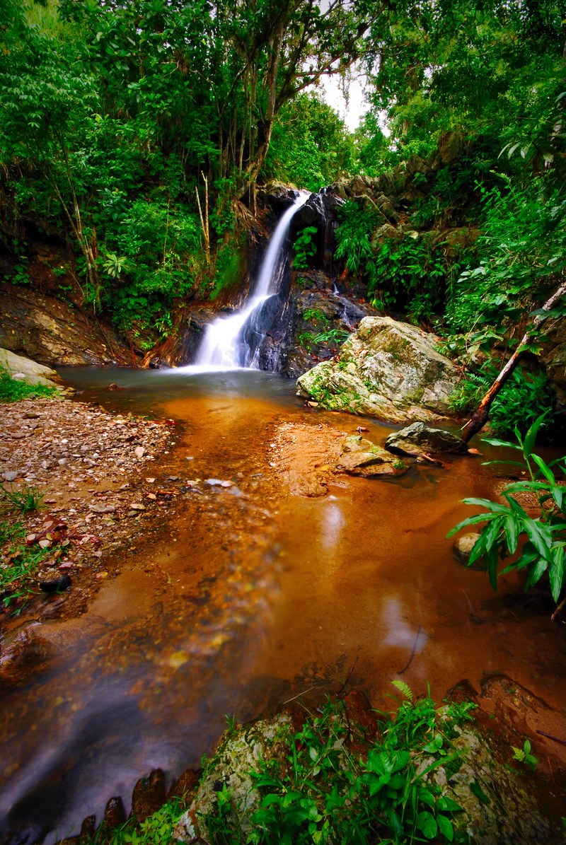 ro selva tropical color and ecuador hd, 4k