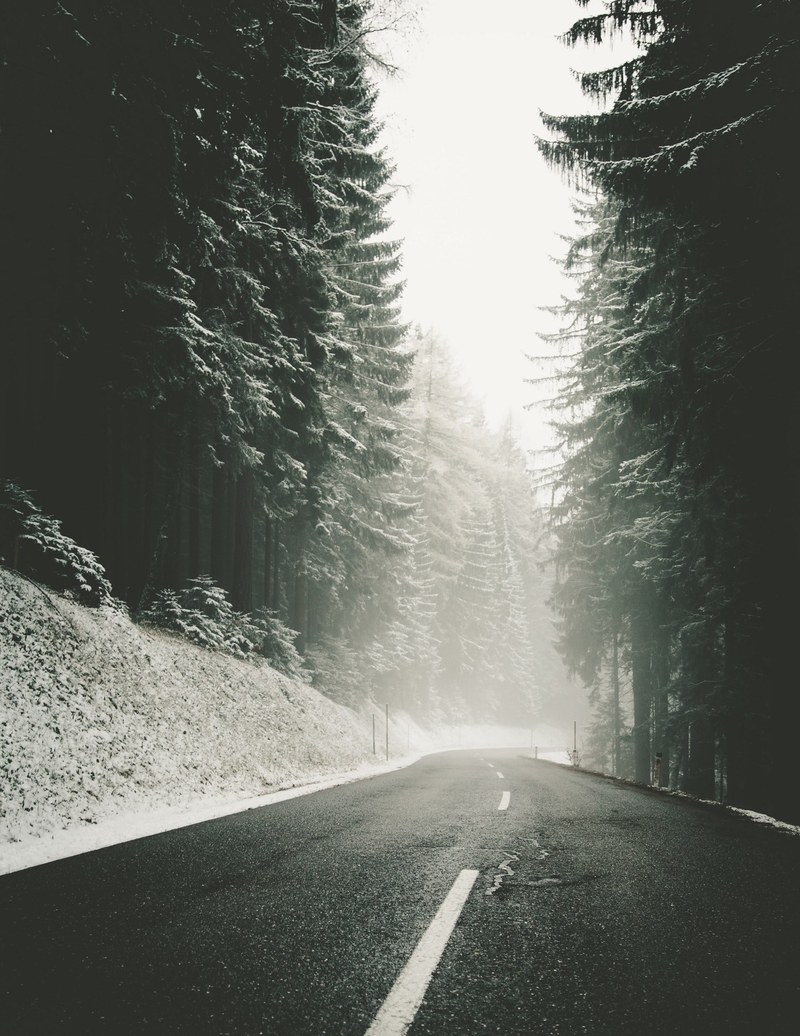 a blacktop road winding through a snowy evergreen forest, forest road in winter 4k