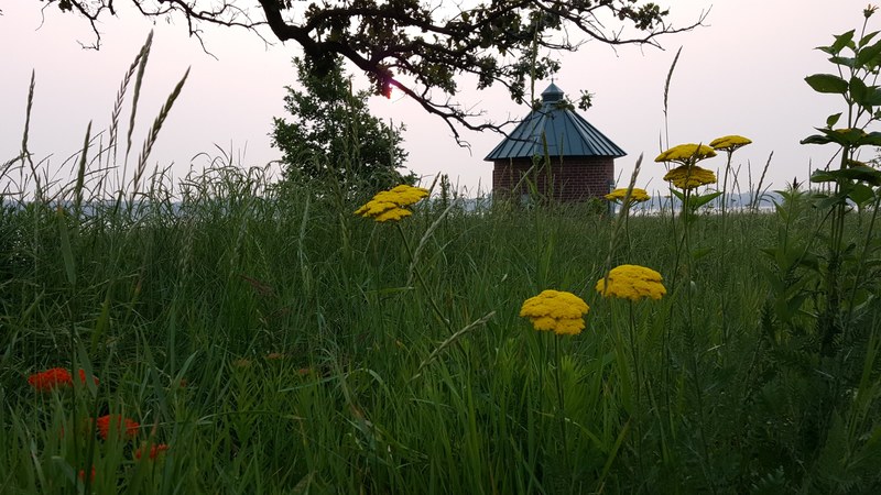 nature lake miracle morning and white bear lake 4k