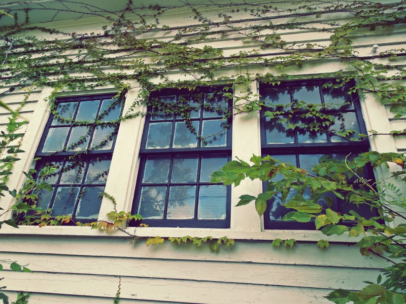 facade house reflection and pane 4k