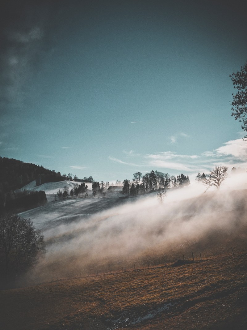 misty morning fog on farm hilltop slope with surrounding forest and barn in spring, hilltop farm mist 4k