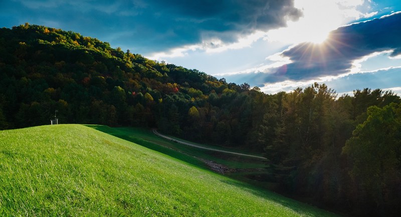 a small grassy hill at the edge of a forest, verdant hill by a forest 4k