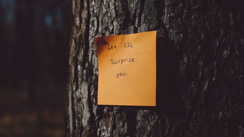 inscription, motivation, sticker, tree, 4k
