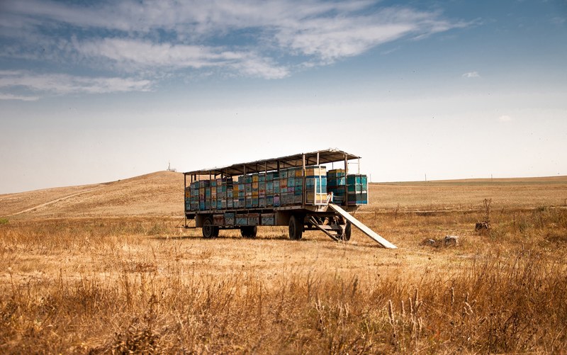 a truck holding different colored crates in a grassy field on a farm, truck and supplies 4k