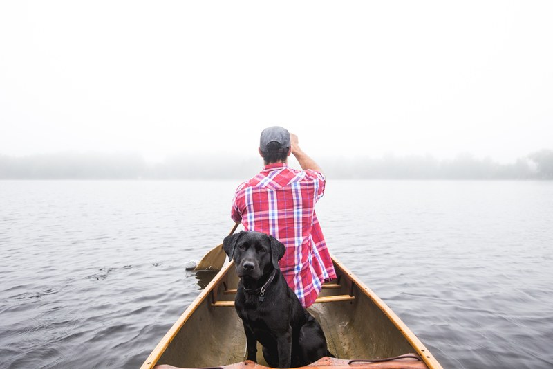 labrador dog takes a boat ride with its owner on a calm lake, dog adventures in nature 4k
