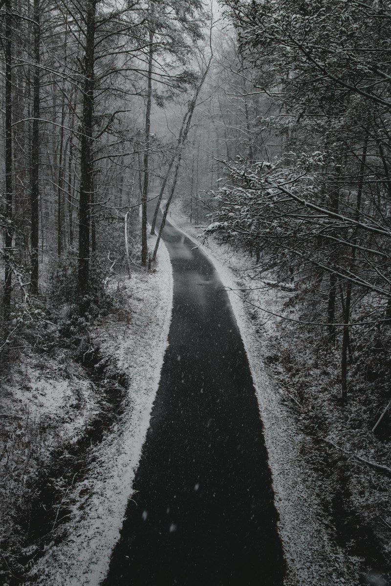 road track snow and winter hd, 4k