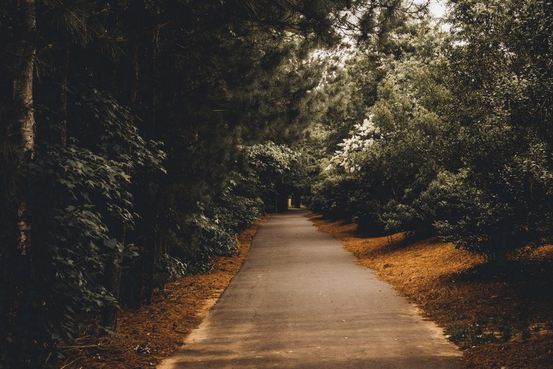 pathway to exploration 4k