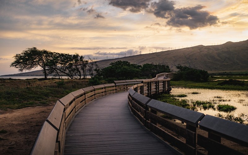 hawaii sugar plantation 4k