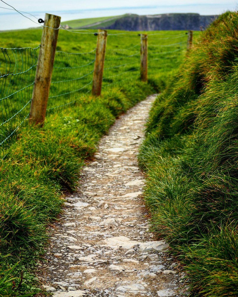 path cliff fence post and grass hd, 4k