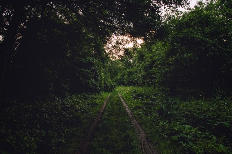 road pentax rhein and old 4k