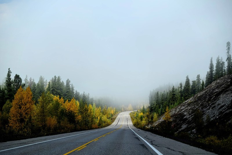 empty road lines with fall trees in jasper national park, park drives in autumn 4k