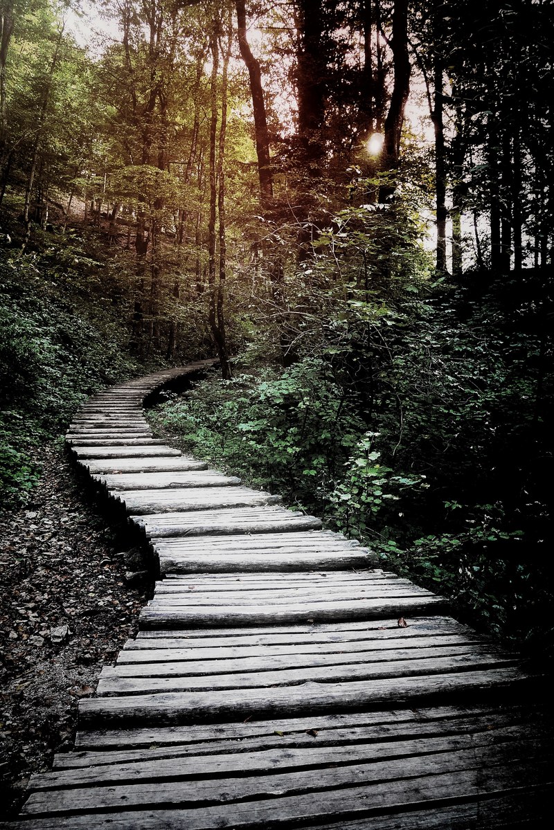 light sun green and stair hd, 4k