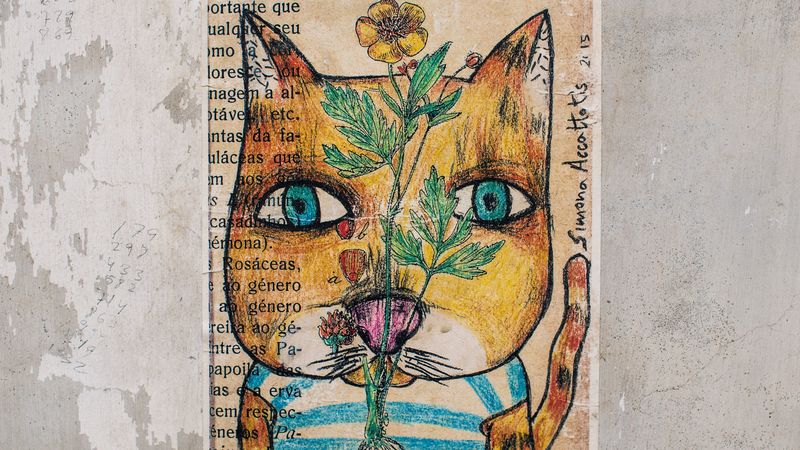 art, cat, drawing, paper, 4k