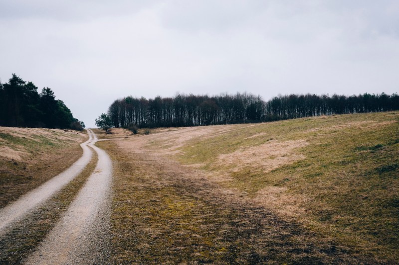 a dirt path in a rural area near a forest in bavaria, dirt path by a forest 4k