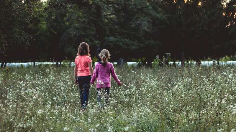 children, field, walk, friends, 4k