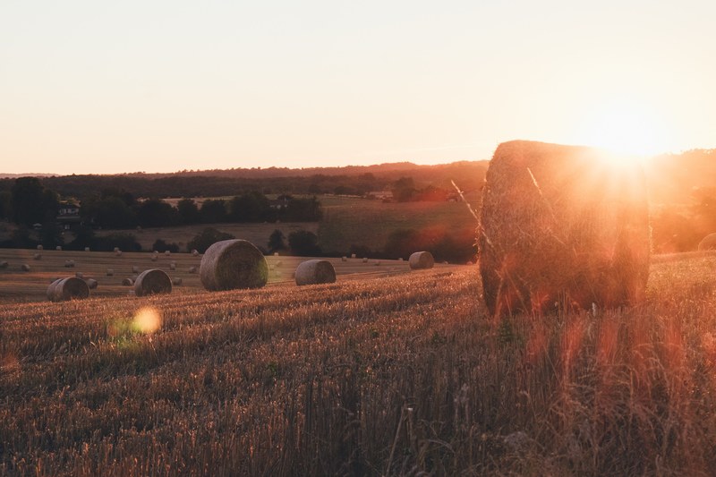 sunset over peaceful pastures with bales of hay in bourdeilles, bourdeilles pastures sunset 4k