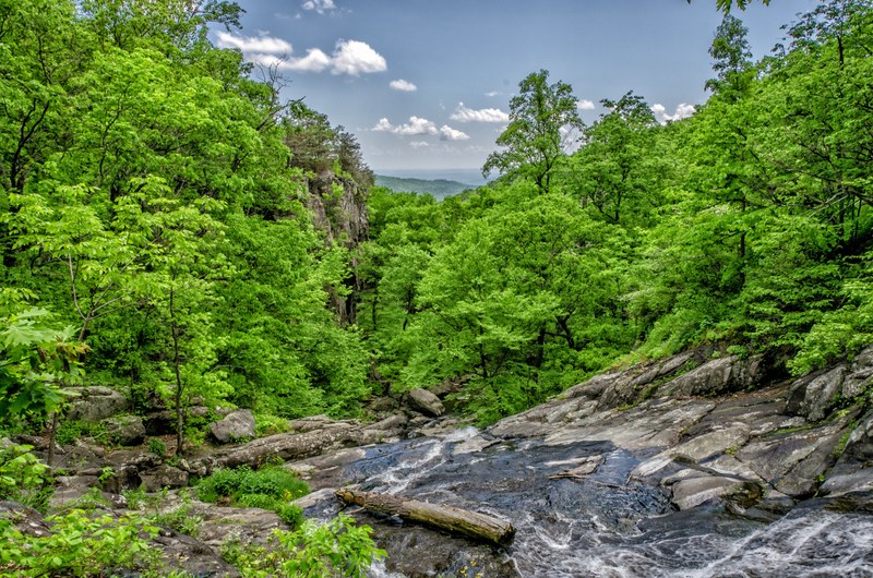 a brook tumbling down a rocky bed in a lush forest environment, steep brook in the forest 4k