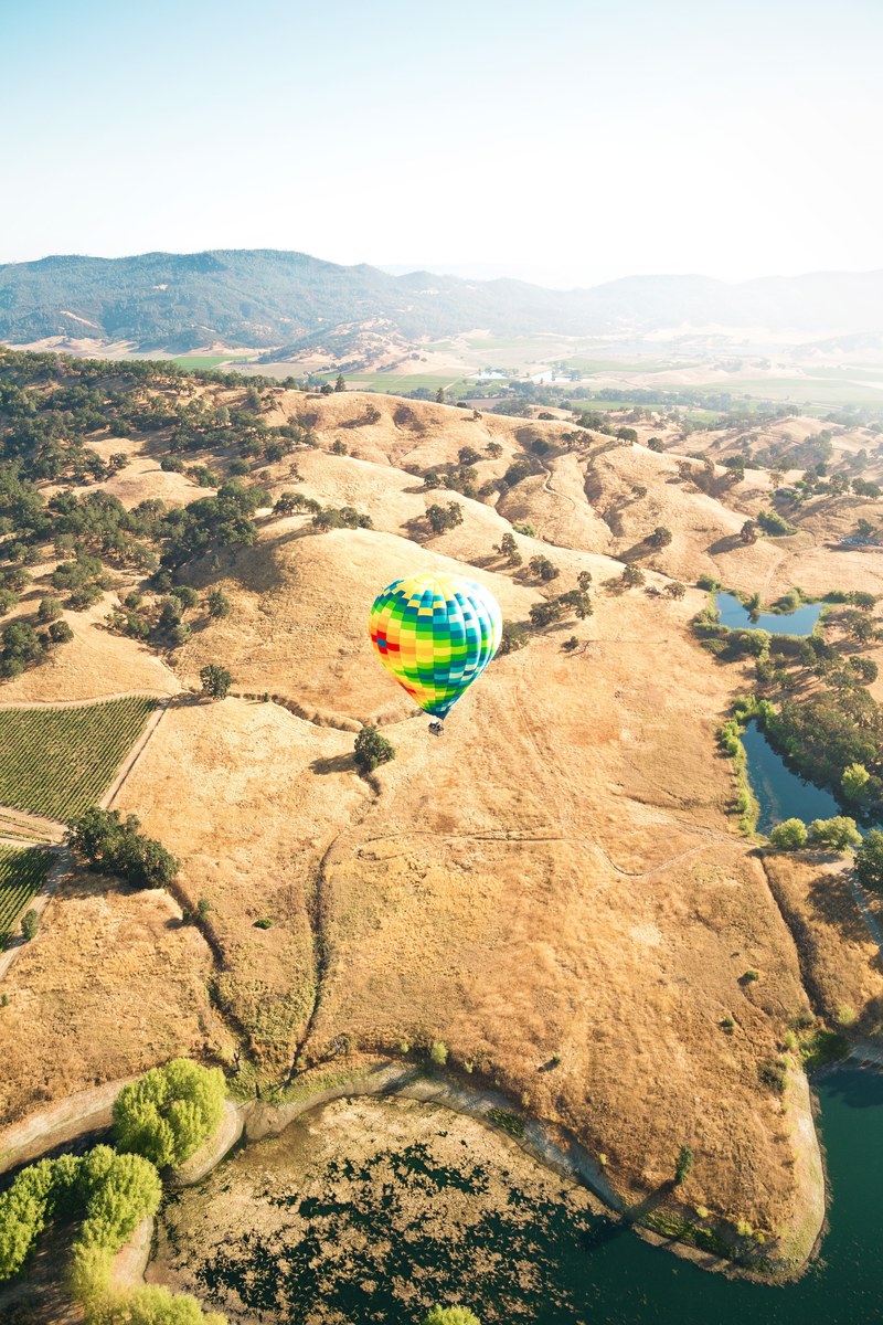 tree sky field and hot air balloon hd, 4k