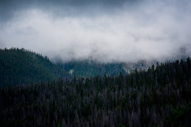 thick mist over woody hills in colorado, mist on forested hills 4k