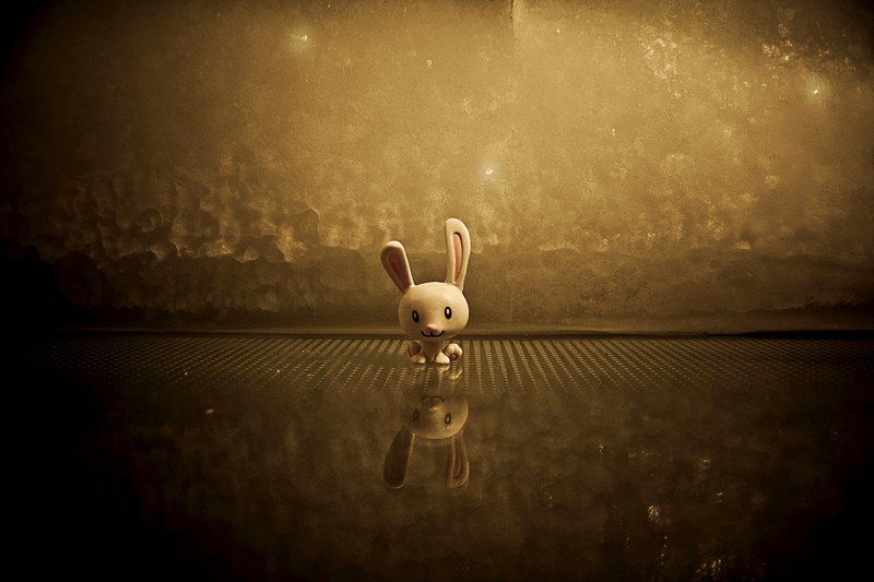 wallpaper funny wallpapers funny backgrounds and toy 4k