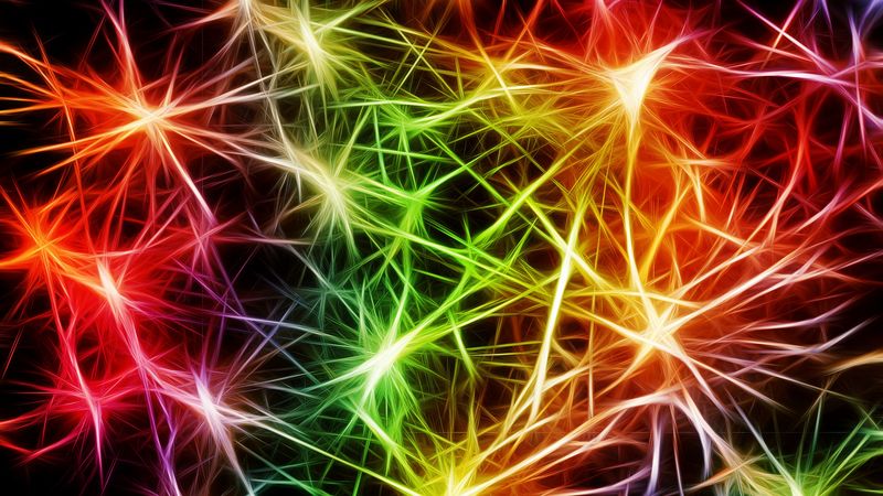 neurons, pulse, art, abstraction, colorful, 4k