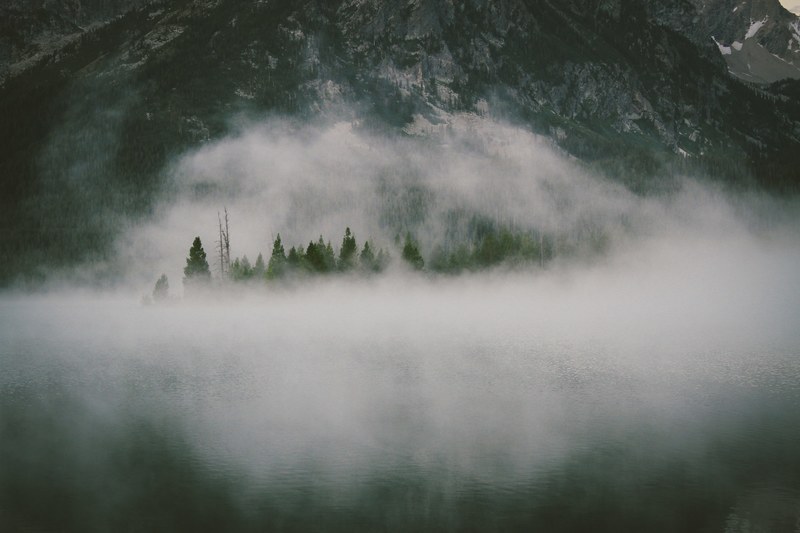 a group of trees enveloped in an heavy fog by a lake, ominous mist 4k
