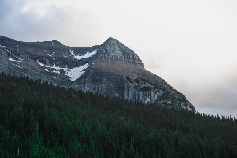 a flat mountain with patches of snow near an evergreen forest in glacier national park, flat mountain by a forest 4k