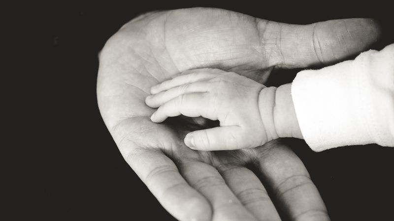 child, parents, hands, caring, tenderness, family, bw, 4k
