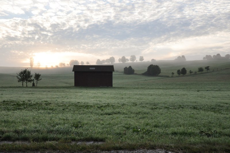 isolated shack in an open farm field on a foggy day in the country, farmhouse in the country 4k