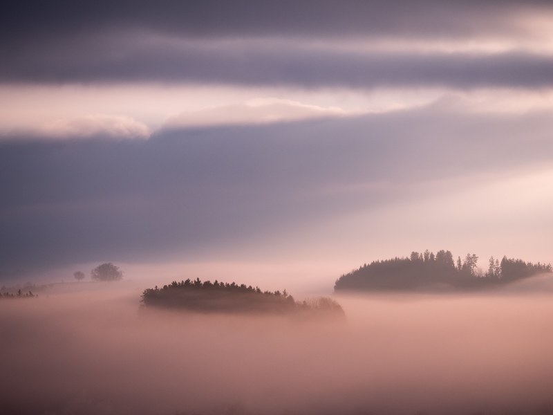 beautiful mornings 4k