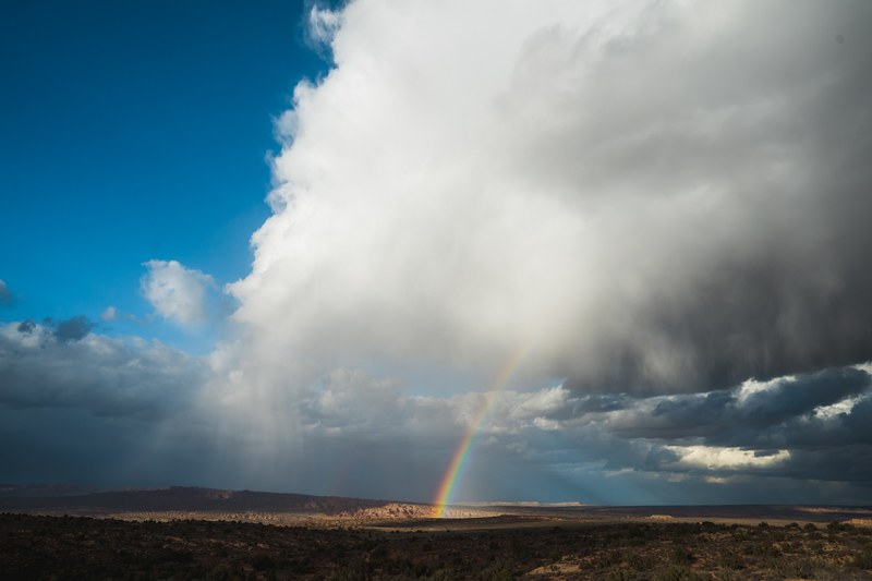 taste the rainbow 4k